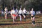Womens under-17s 2025 Northern Cross Country Champs, Tatton Park, Knutsford, Cheshire. Photo: David T. Hewitson/Sports for All Pics